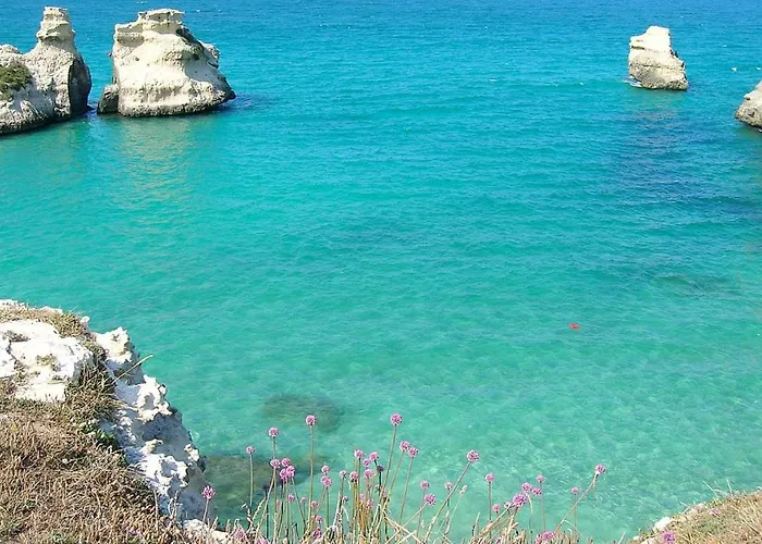 La Casa Di Angela - Home In Salento Casa Vacanze Con Parcheggio A Pochi Minuti Dal Mare Intero Appartamentoの写真