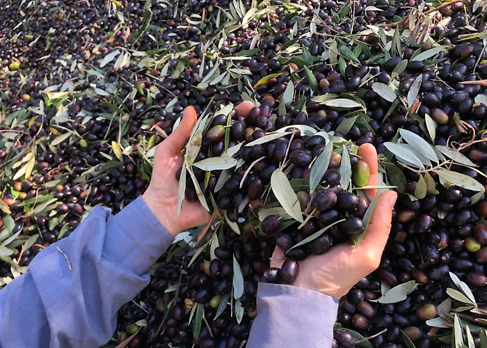 Tratturi Reali Hotel Villa Castelli photo