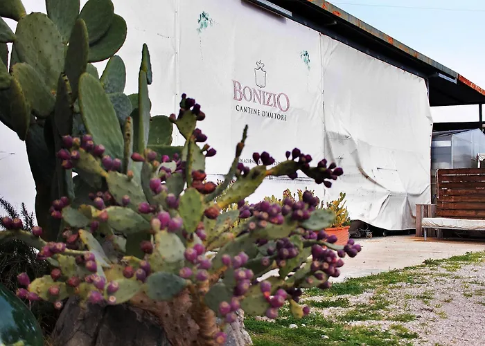 Bed and Breakfast Bio Bonizio Nel Borgo Montegrosso Foto