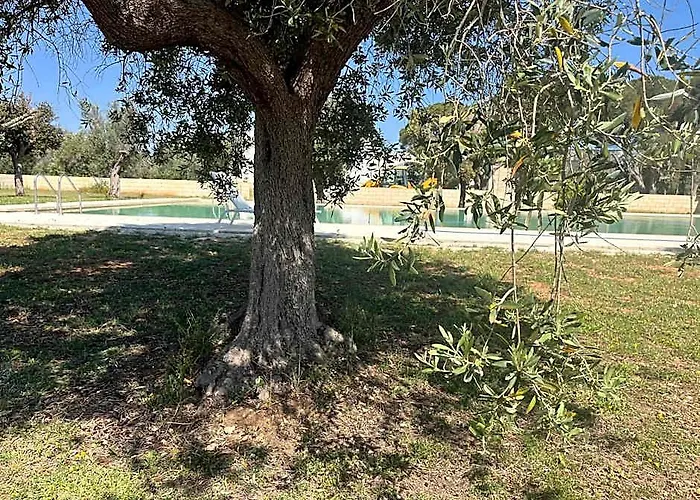 Photo de Tenute Masseria Notari Borgagne Melendugno