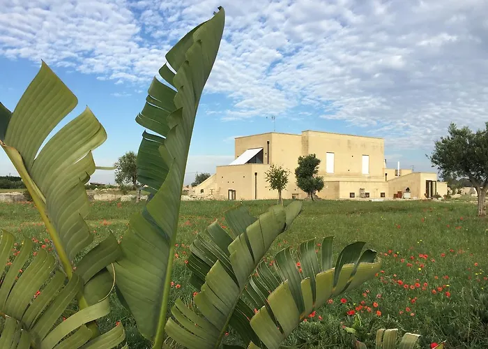 Masseria Gelsi Torre Chianca foto